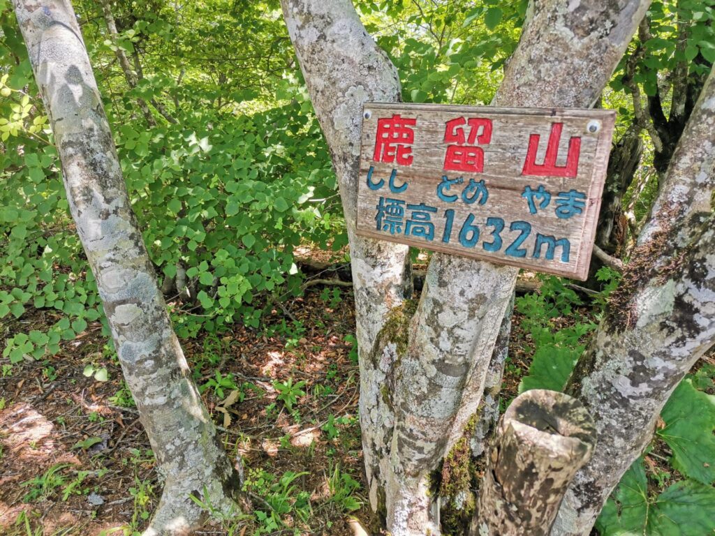 鹿留山 山頂