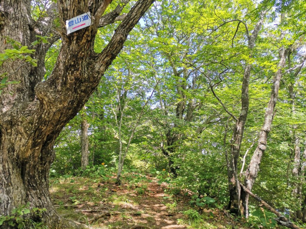 鹿留山 山頂