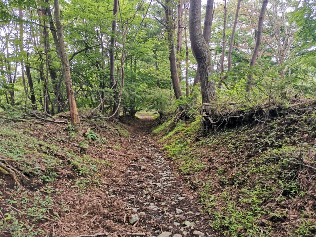 登山道