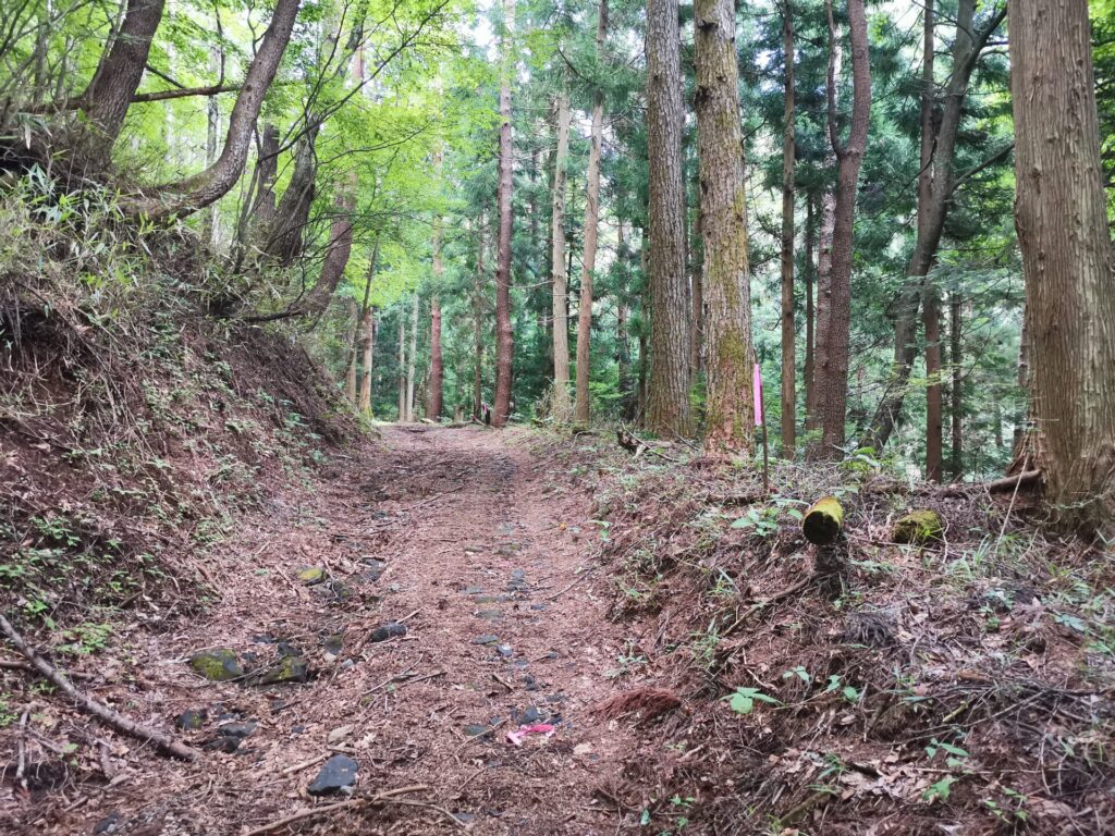 登山道