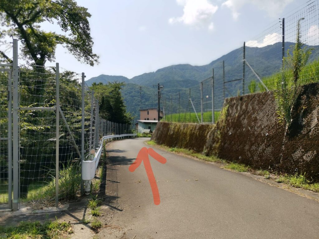 桜林公園 駐車場