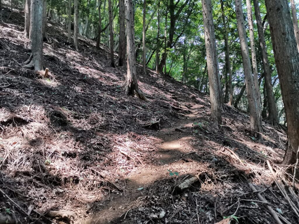 登山道