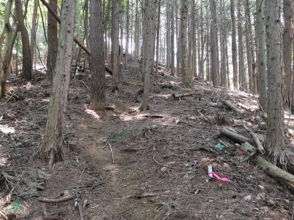 登山道 ピンクリボン