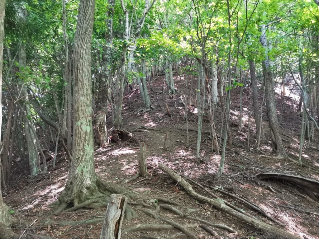 登山道