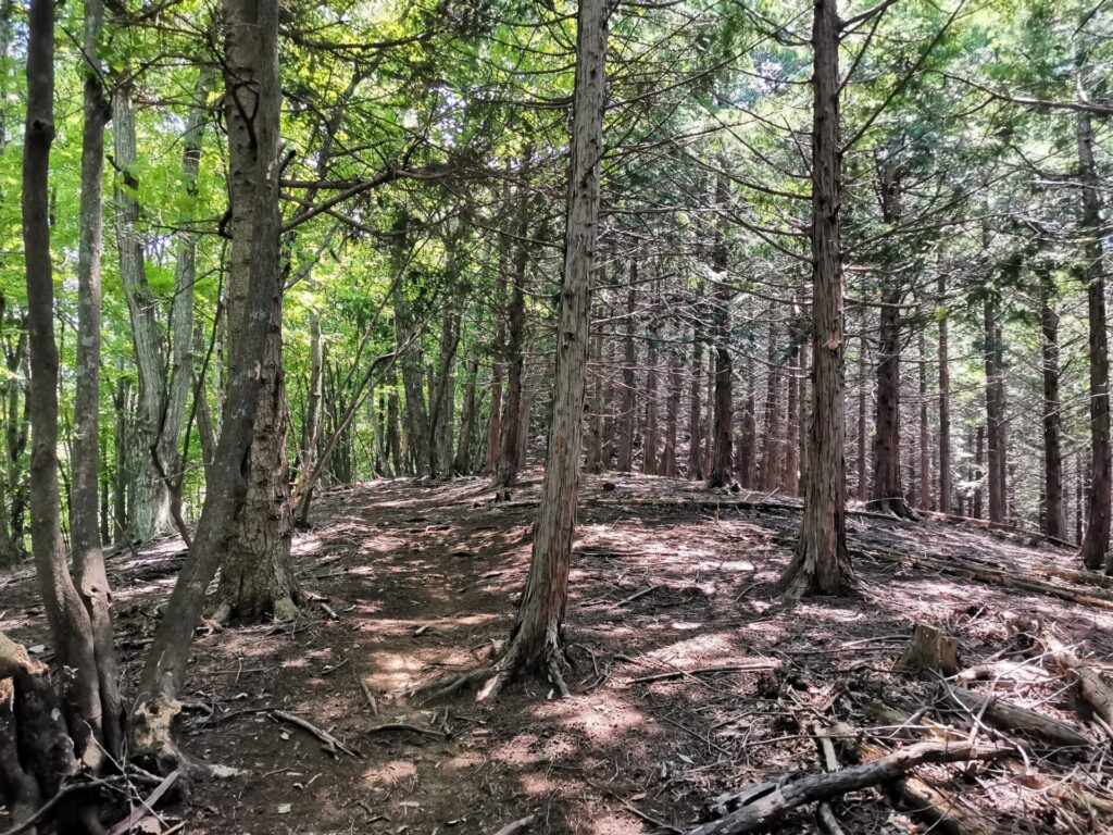 登山道