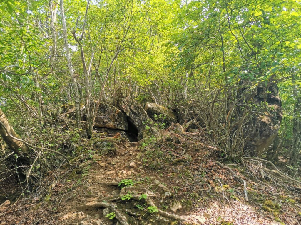 登山道 岩