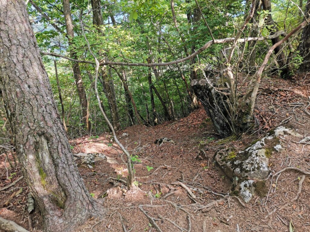 登山道