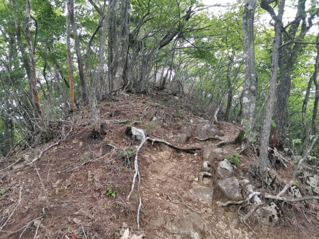 登山道