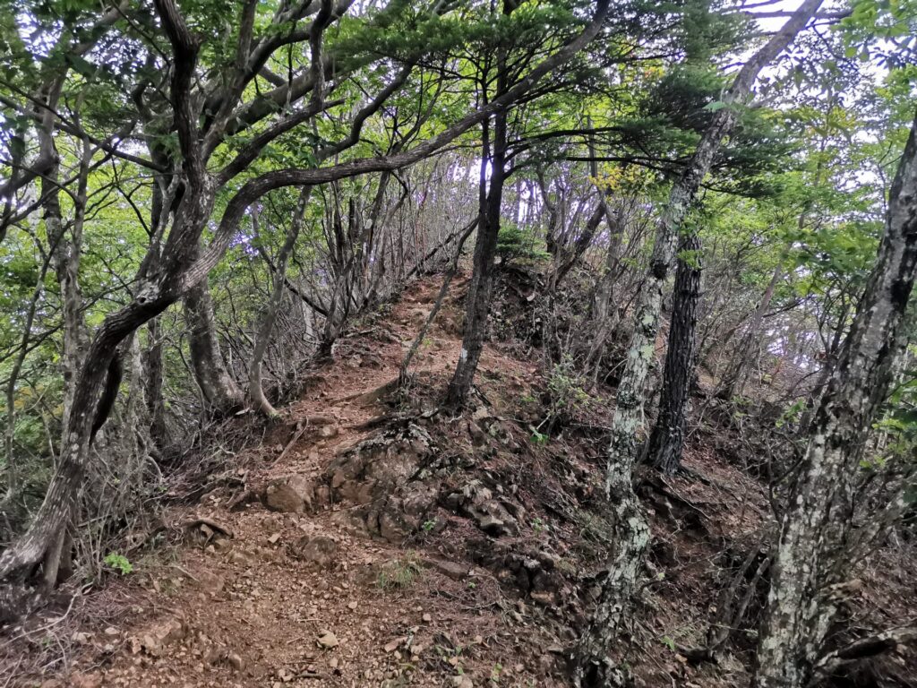 登山道