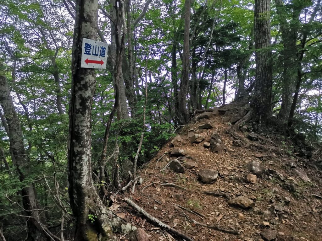 登山道