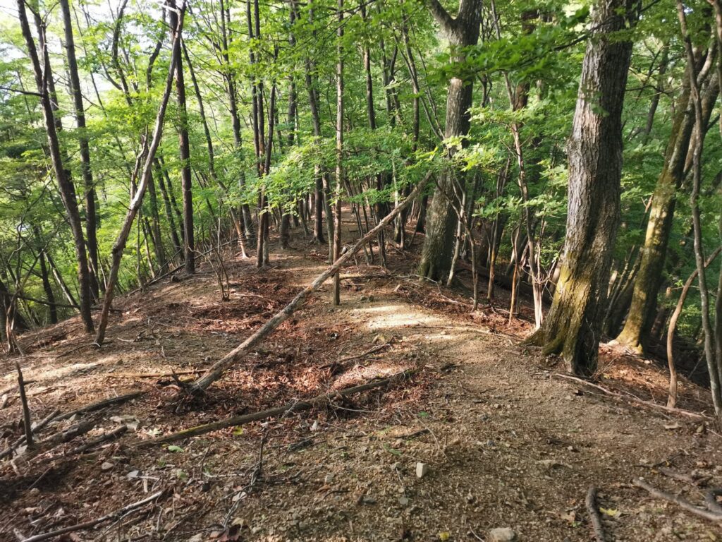 登山道