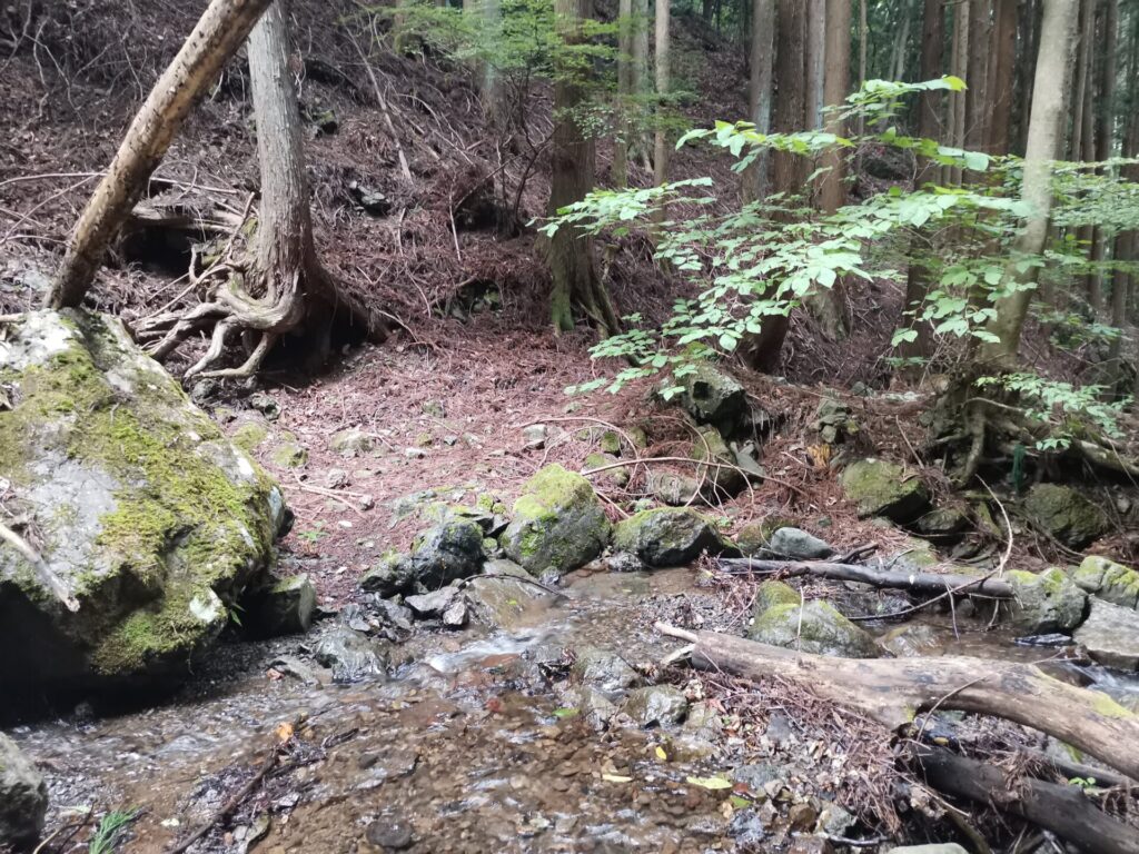 登山道 川