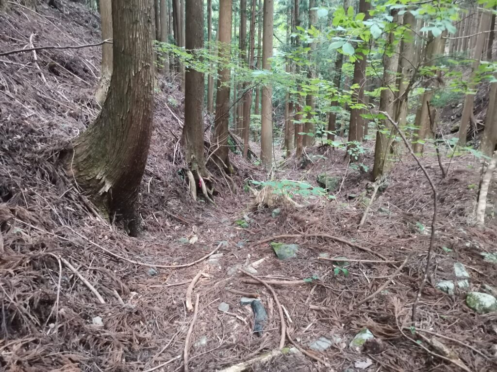 登山道