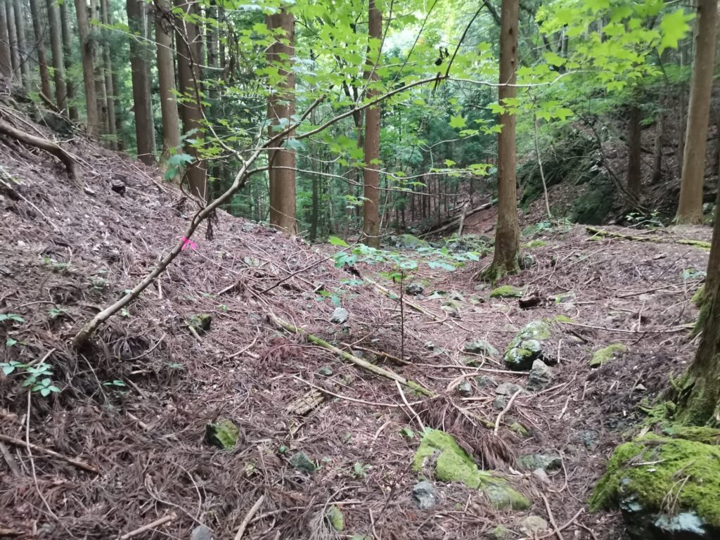 登山道