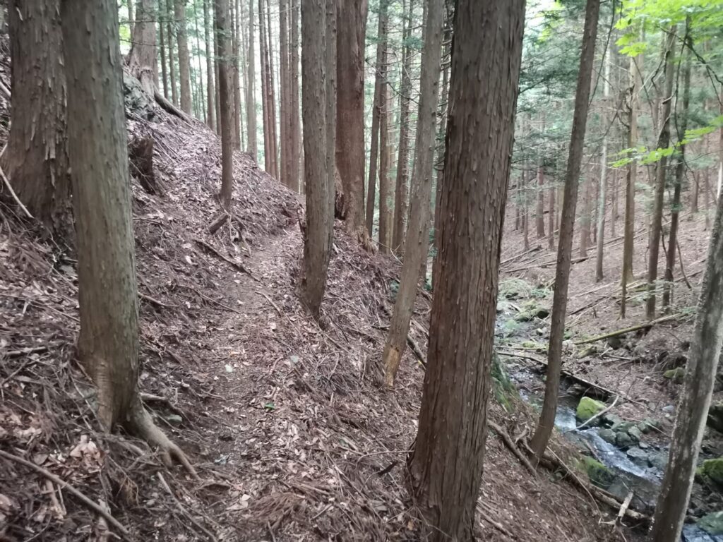 登山道