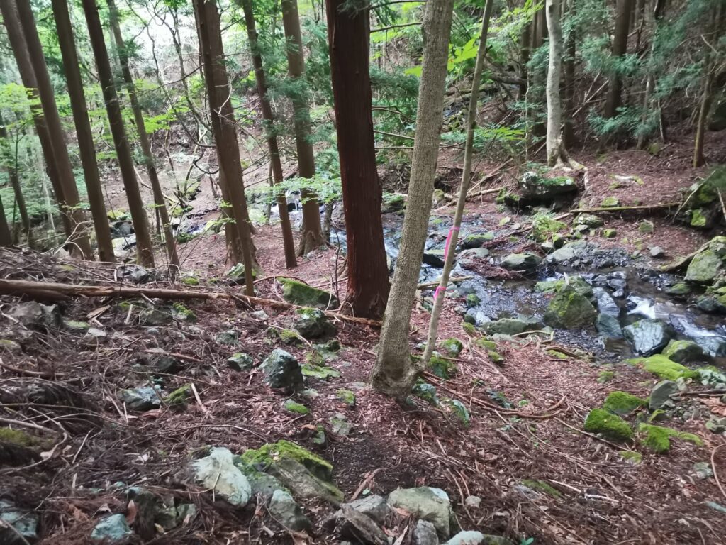 登山道