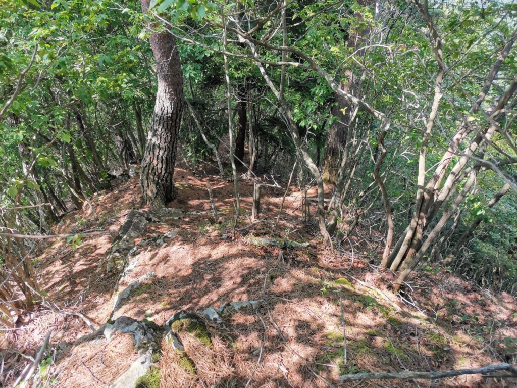 登山道