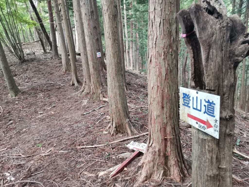 細野峠