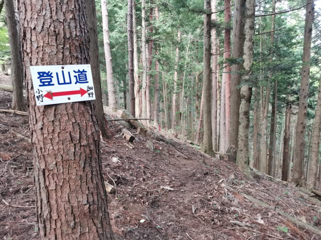 登山道 道標