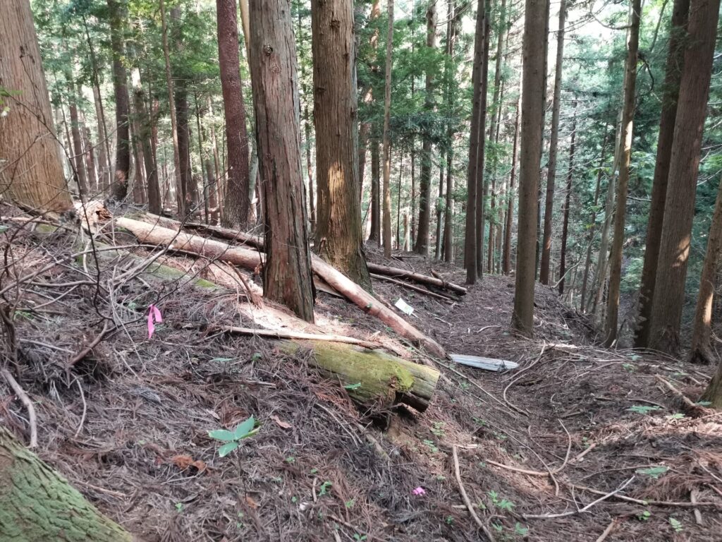 登山道