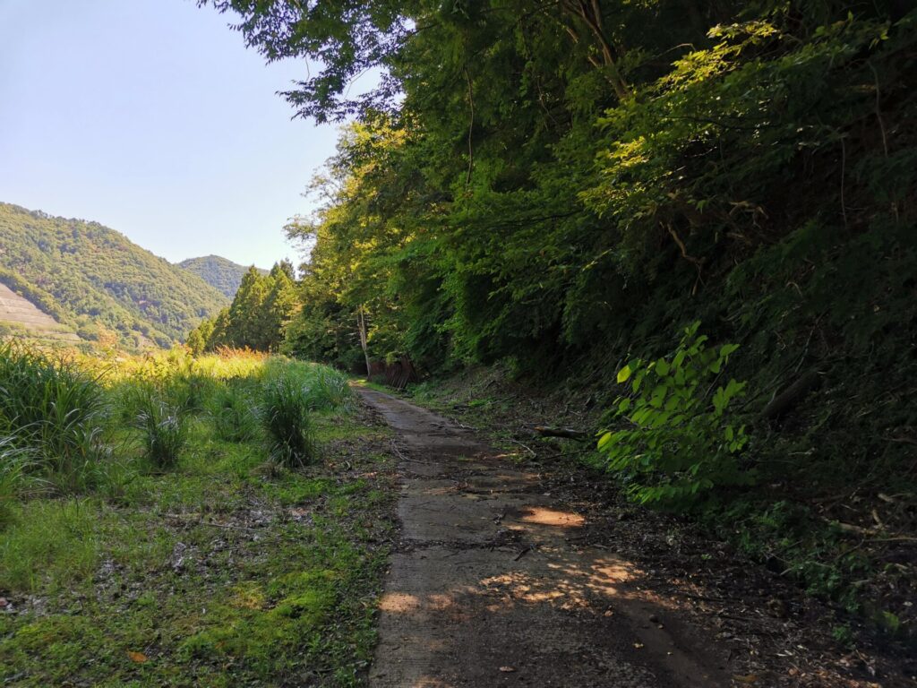 道路