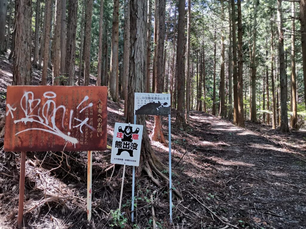 登山道