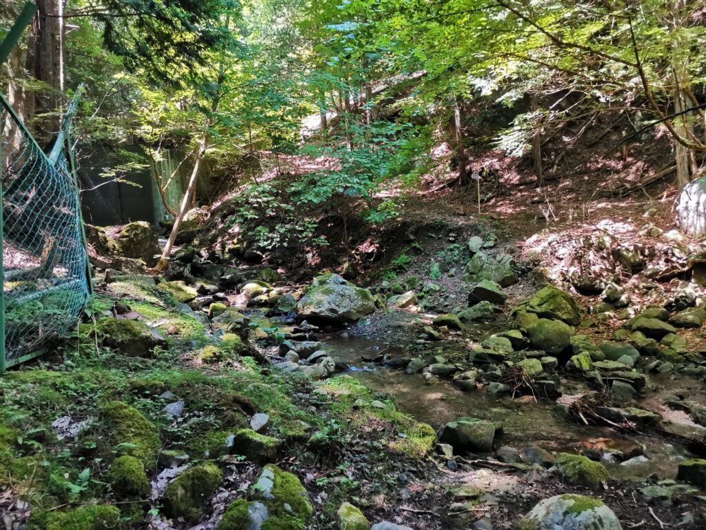 沢 登山道