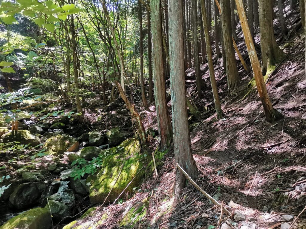 登山道