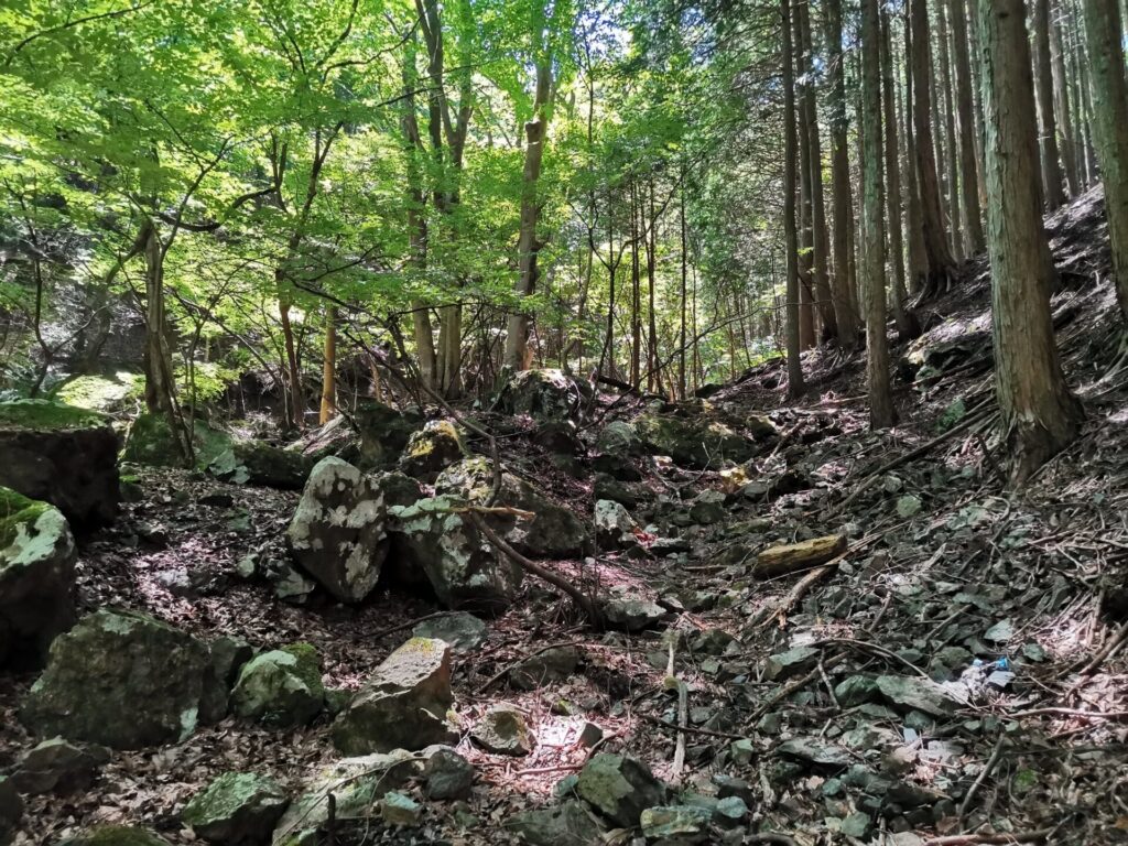 登山道