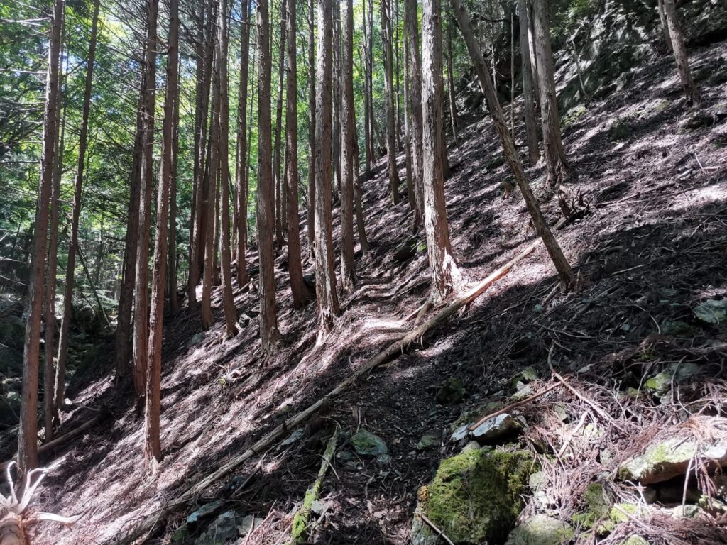 登山道