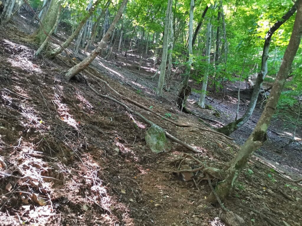 登山道