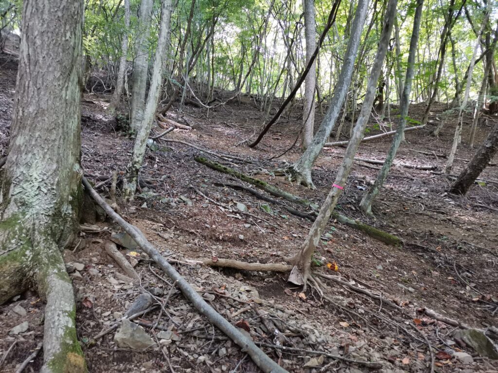 登山道