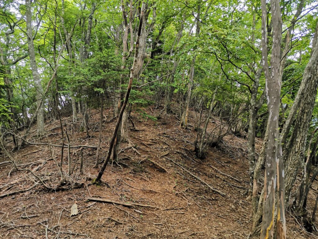 登山道