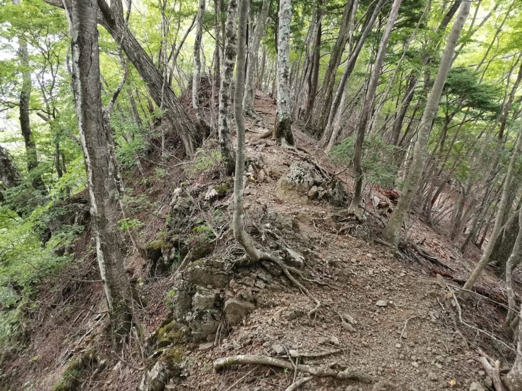 登山道