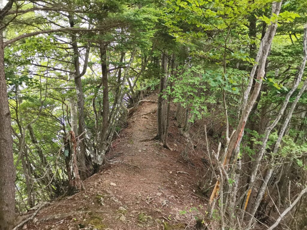 登山道