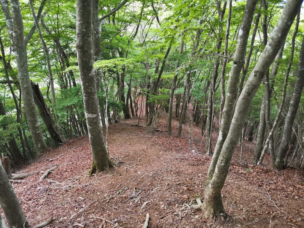 登山道