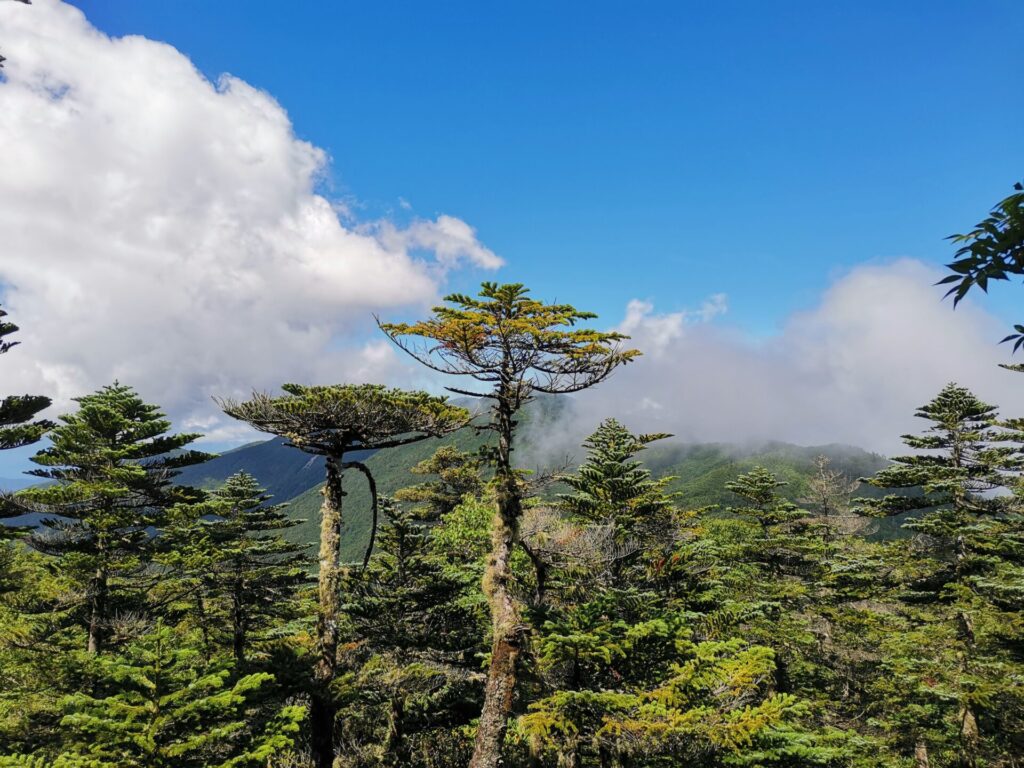 金峰山