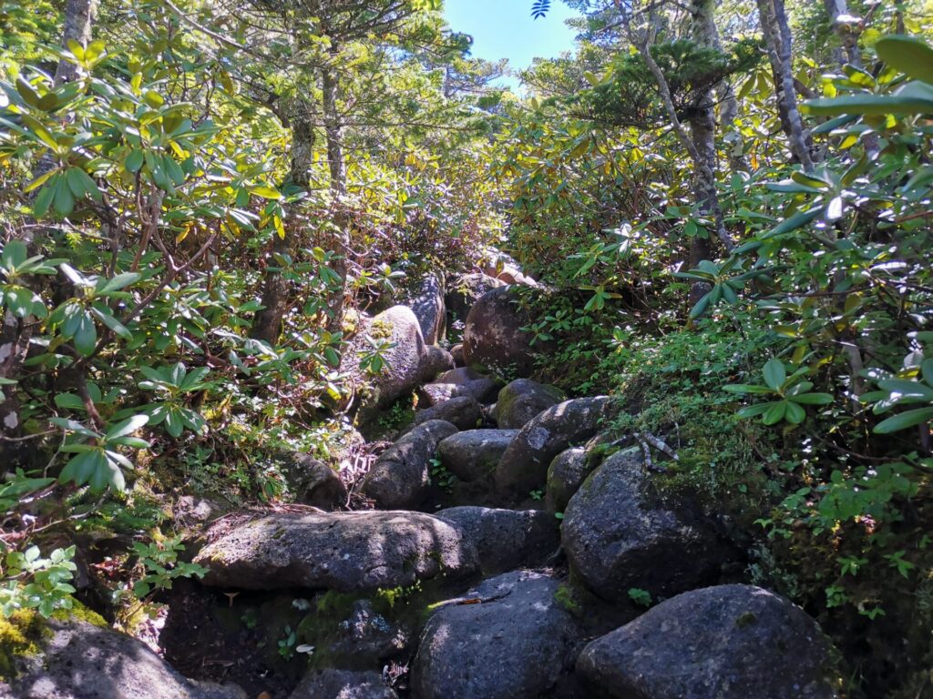 登山道 岩