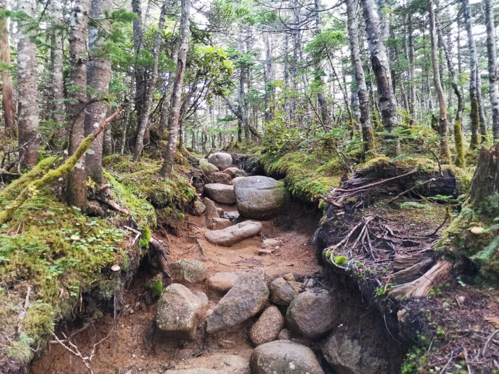 登山道 岩