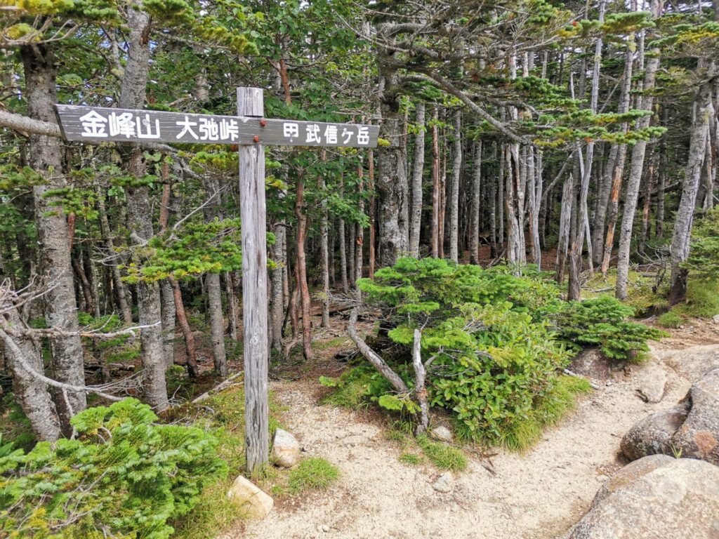 甲武信ヶ岳 道標