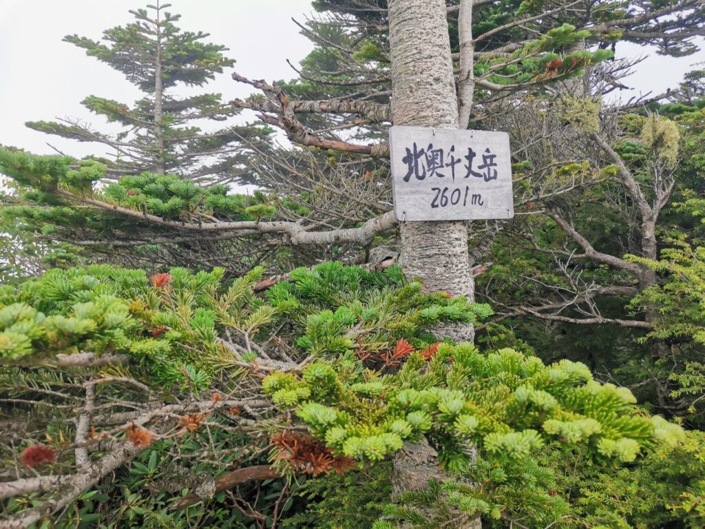 北奥千丈岳 山名板