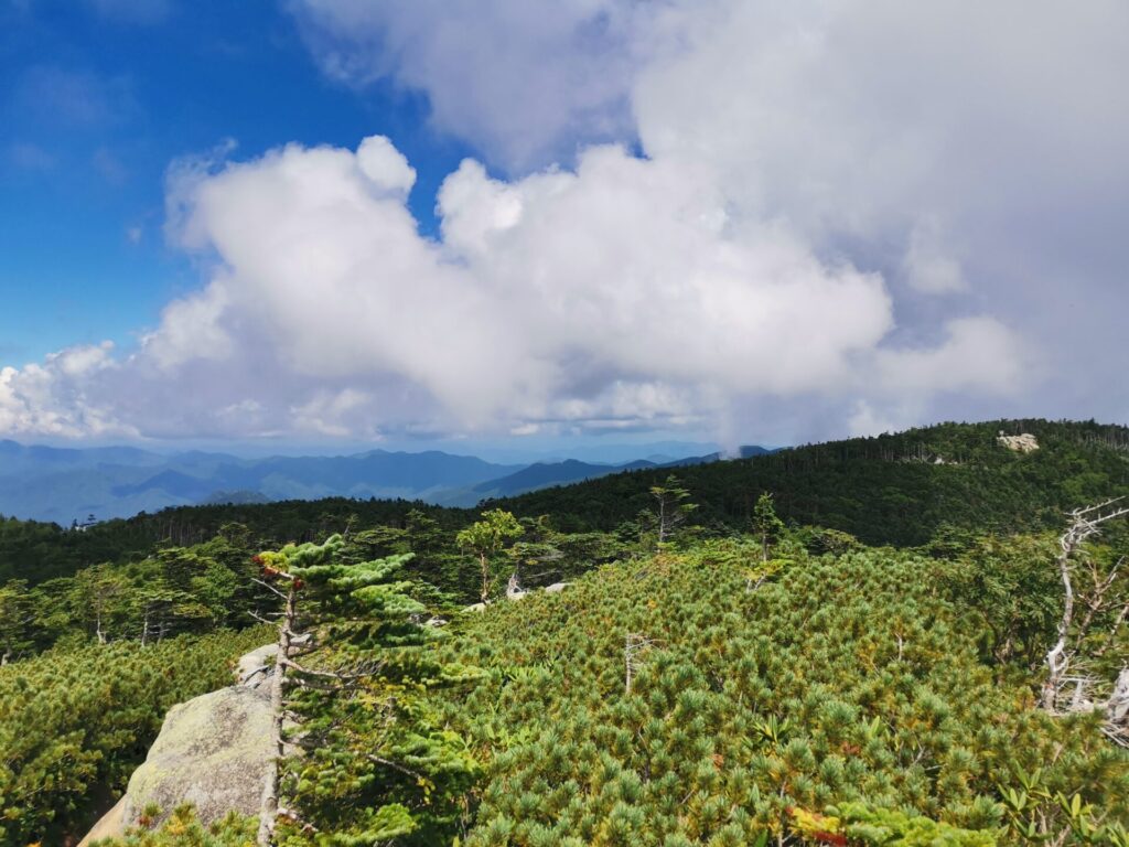 北奥千丈岳 山頂