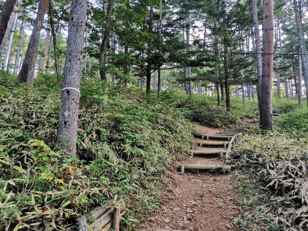 登山道