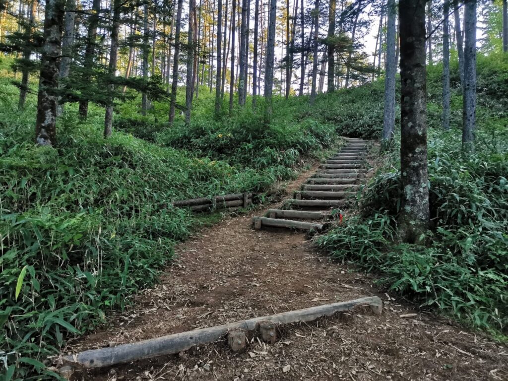 登山道