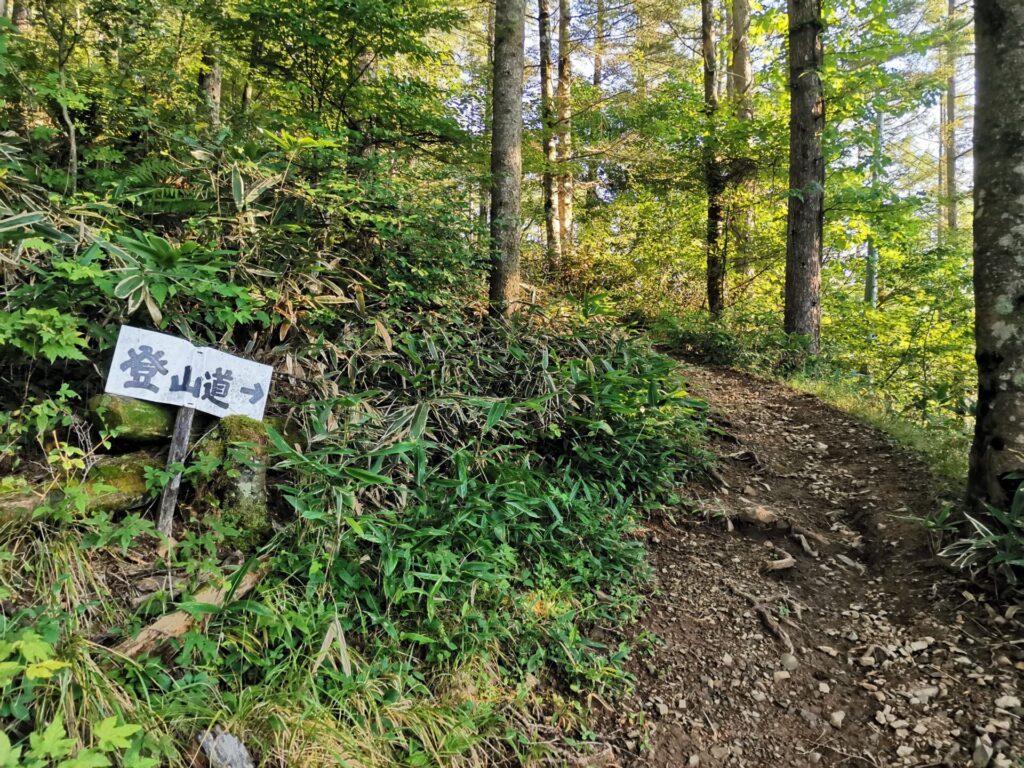 登山道