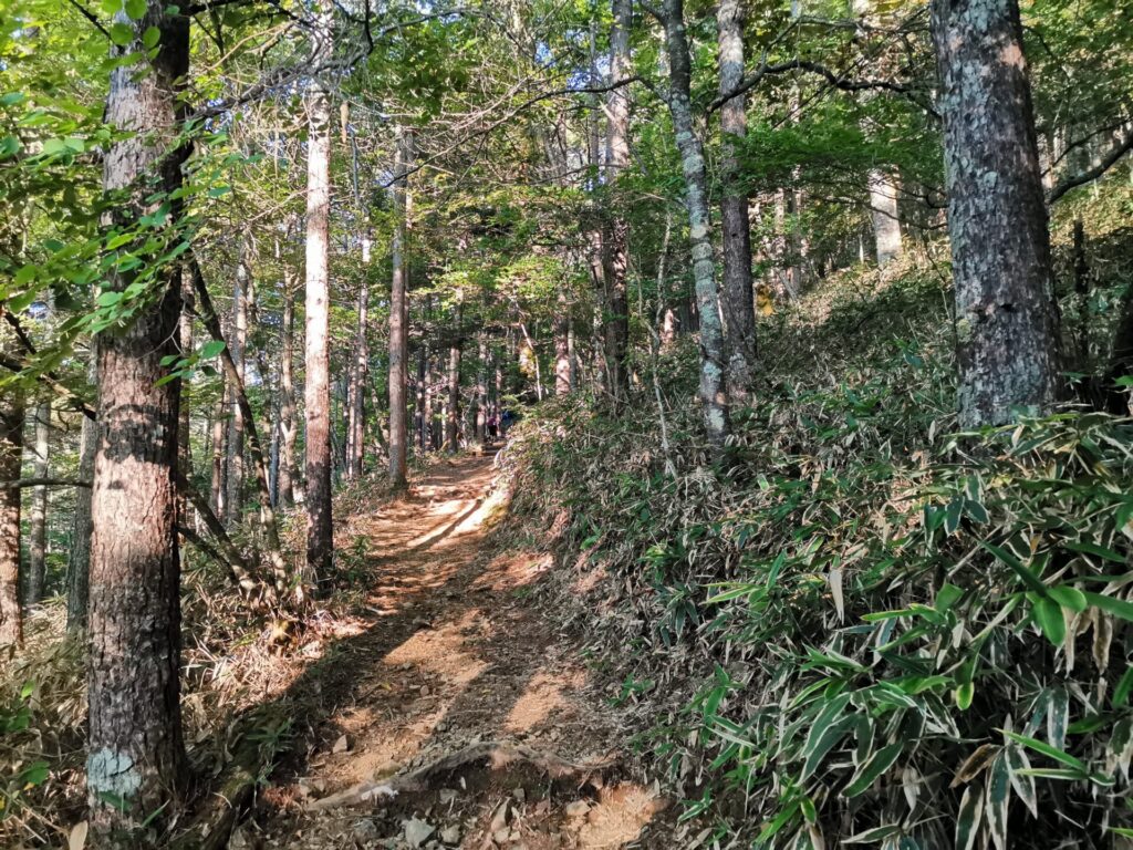 登山道