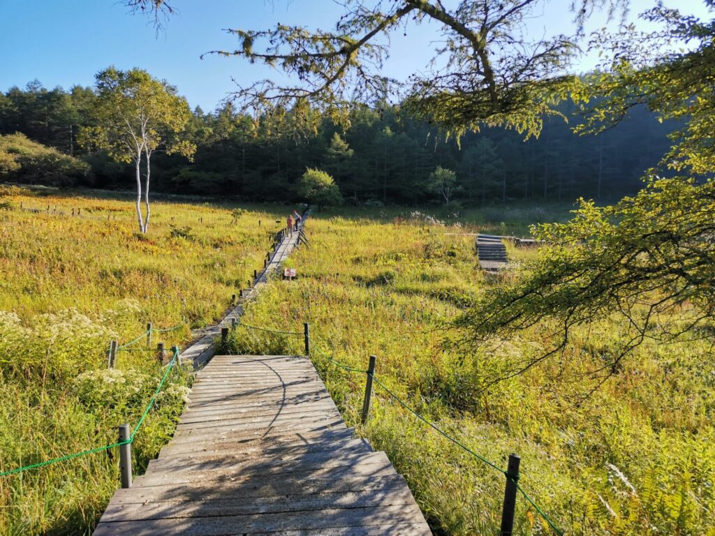 入笠湿原