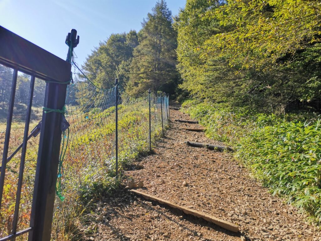 登山道