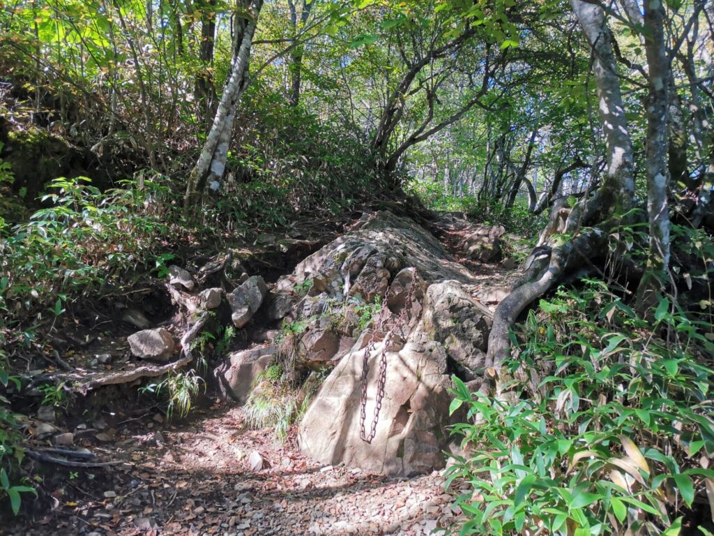 登山道 岩