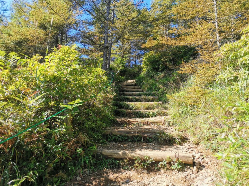 登山道